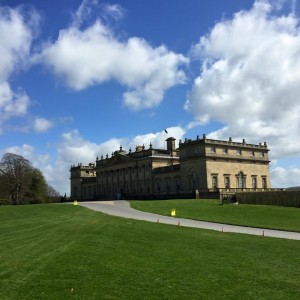 harewood