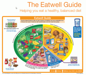 What Does a Balanced Diet Look Like