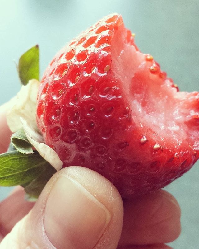 Haven’t been creative in the kitchen much these last couple of weeks but here’s a juicy strawberry for to enjoy instead. Strawberries are mega low in calories, and packed with loads of goodness for health. You can eat a whole punnet guilt free (provided you skip the cream). Eat them as they are or add them to Greek yogurt or some overnight oats, and enjoy one of nature’s best sweets. #foodiefriday #strawberry #stawberries #nature #natural #sweets #nutrition #nutritionist #eatwell #eatforhealth